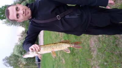 Northern Pike, 1.3 kg