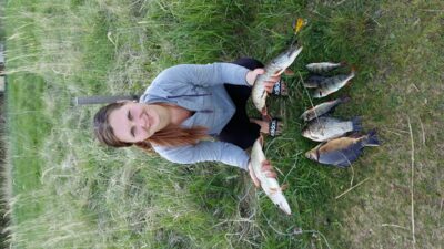Eurasian perch ×6 — Arvydų