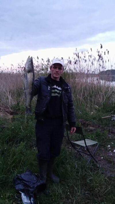 Pike perch, 2.5 kg