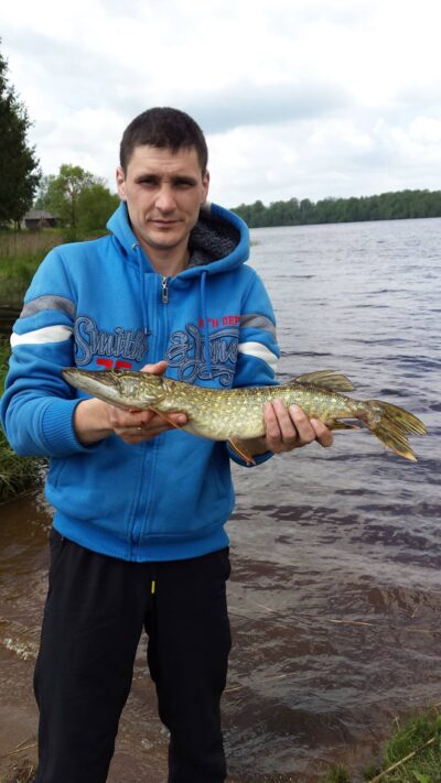 Northern Pike, 1.0 kg — Balskų