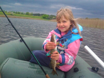 Northern Pike, 0.3 kg