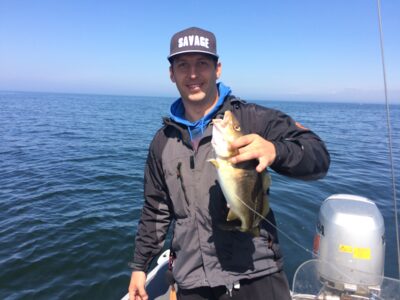 Atlantic cod, 1.0 kg — Baltic Sea