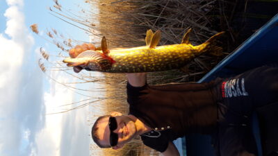 Northern Pike, 2.0 kg