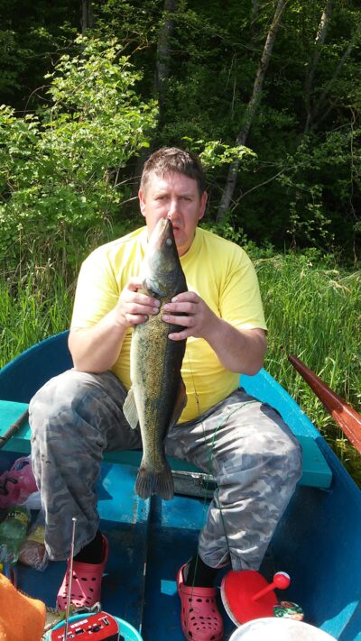 Pike perch, 3.0 kg — Sablauskių