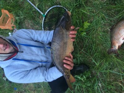Mirror carp, 4.4 kg