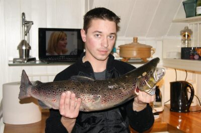 Atlantic salmon, 4.0 kg