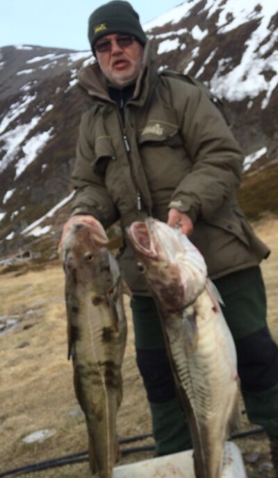 Atlantic cod — Norwegian Sea