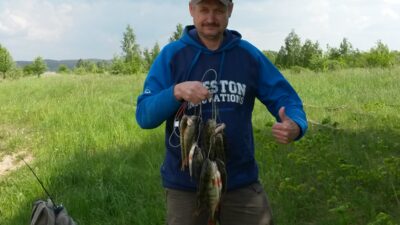 Eurasian perch — Elektrėnai reservoir