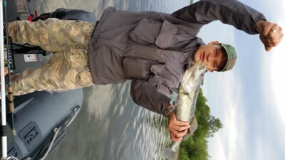 Pike perch, 1.4 kg — ATMATA