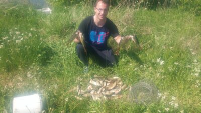 Eurasian perch ×30