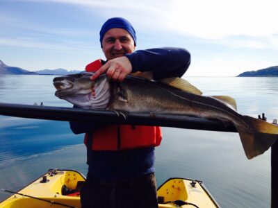 Atlantic cod
