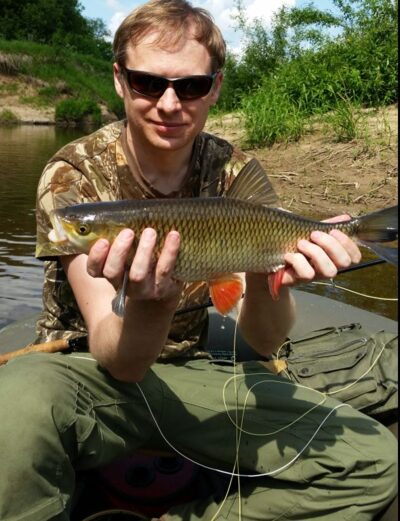chub — Širvinta