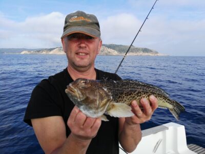 Eelpout, 1.0 kg — Mediterranean Sea