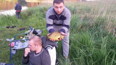 Crucian carp, 1.1 kg — Pavardaunio