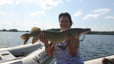 Northern Pike, 4.1 kg — Elektrėnai reservoir