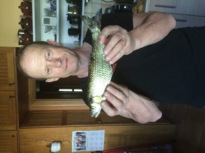 chub, 0.5 kg