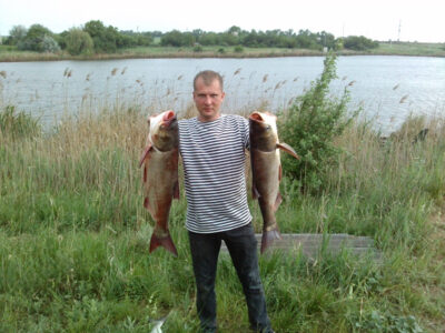 Silver carp