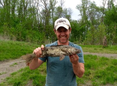 Walleye