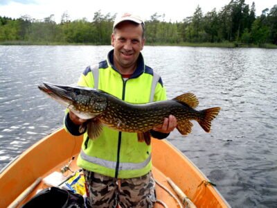 Northern Pike, 7.0 kg