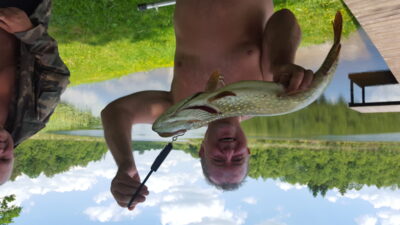 Northern Pike, 2.3 kg