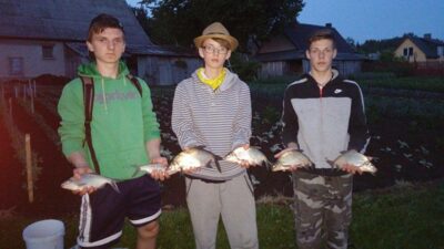 Carp bream ×12 — Pakumulšių I-asis