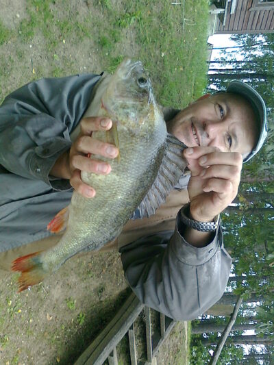 Eurasian perch, 1.9 kg