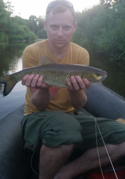 chub — Širvinta