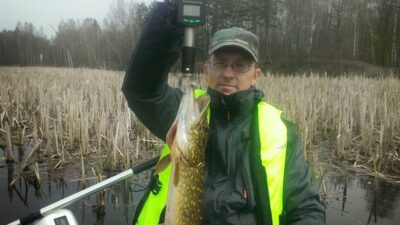 Northern Pike, 1.8 kg — Padvarių