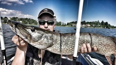 Northern Pike, 7.5 kg