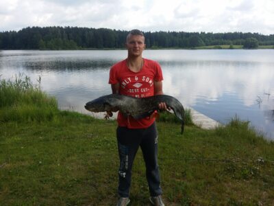 Wels catfish, 9.7 kg