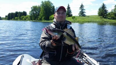 Pike perch