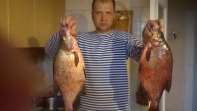 Carp bream, 3.5 kg — Asveja