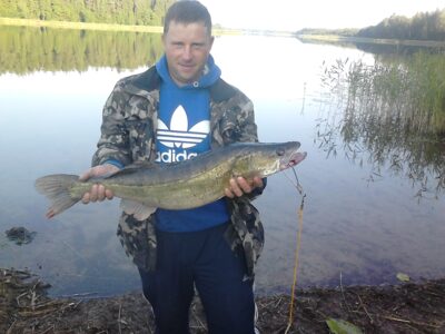Pike perch, 5.7 kg — Sartai