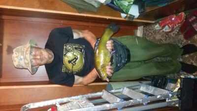 Tench, 2.3 kg — Šešuolių