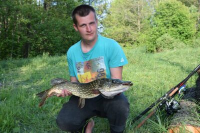Northern Pike, 3.1 kg