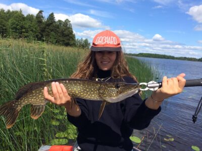 Northern Pike