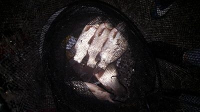 Prussian carp ×5 — Garliavos I-asis