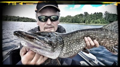 Northern Pike, 5.0 kg