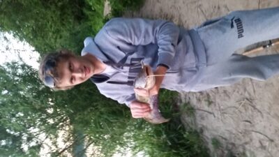 Wels catfish, 1.0 kg