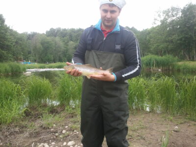 Brown Trout — Minija