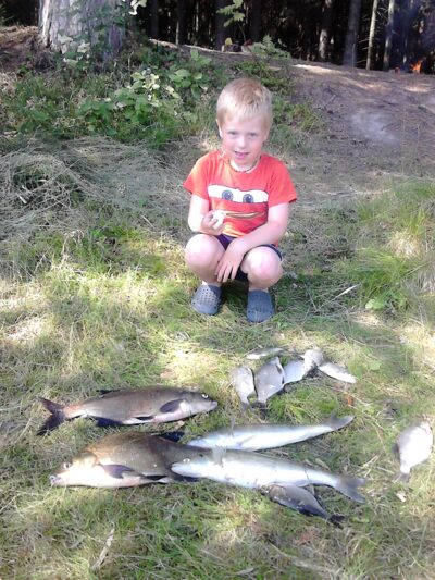 Pike perch — Sartai