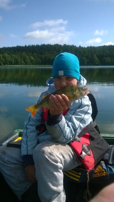 Eurasian perch, 0.3 kg — Pakasas