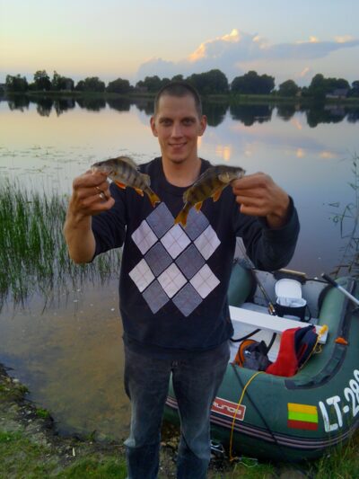 Eurasian perch — Angirių