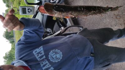 Northern Pike, 2.3 kg — Minija