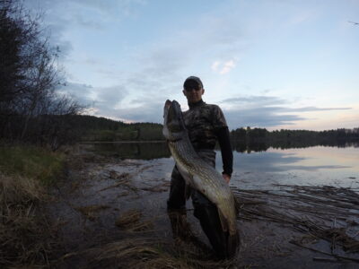 Northern Pike, 11.0 kg