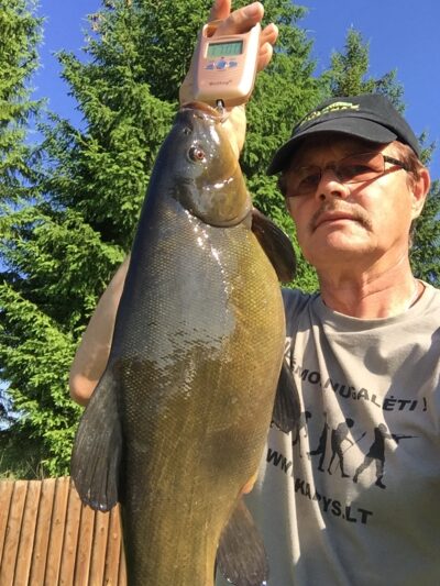 Tench, 1.7 kg — Antalieptės HE
