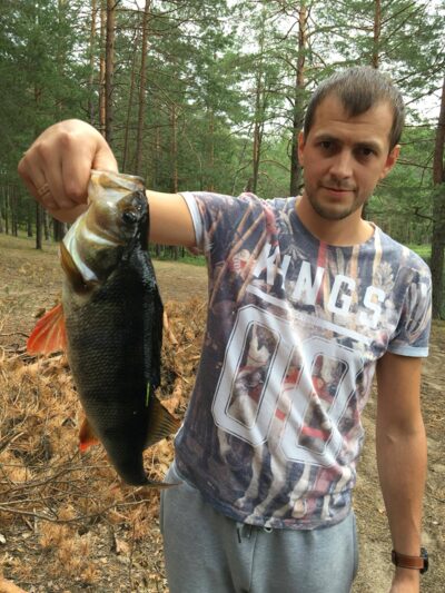 Eurasian perch — Varnakis