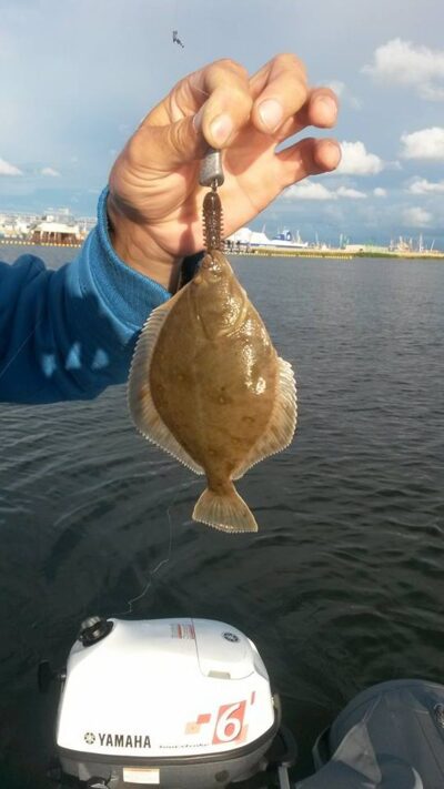 European flounder, 0.2 kg — Kuršių