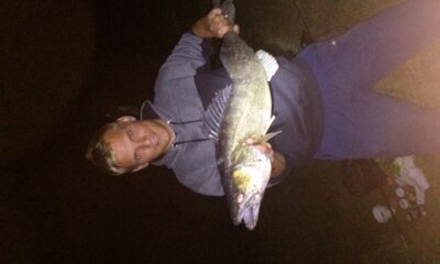 Pike perch, 4.5 kg — Veisiejis