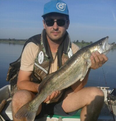 Pike perch, 3.0 kg